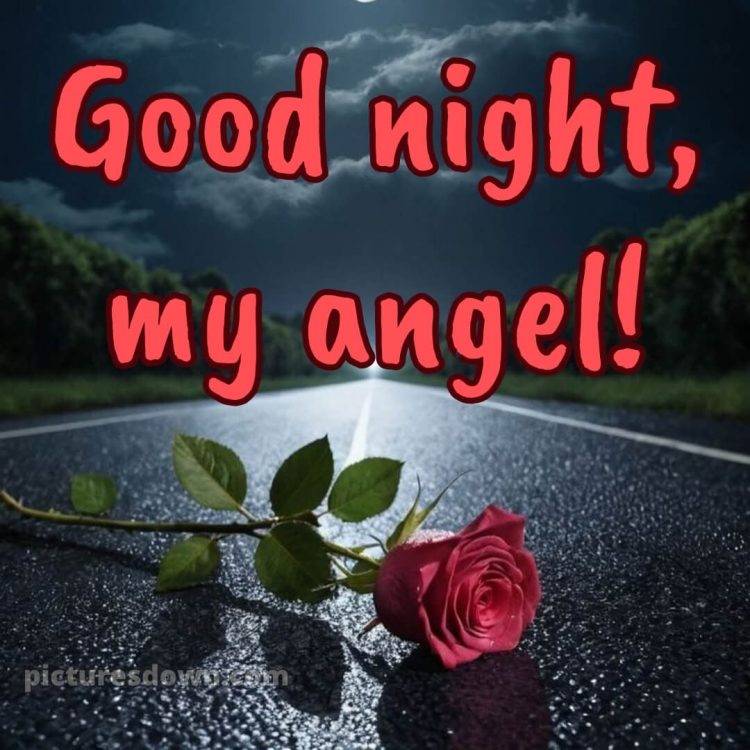 Good night my love picture 8 free download