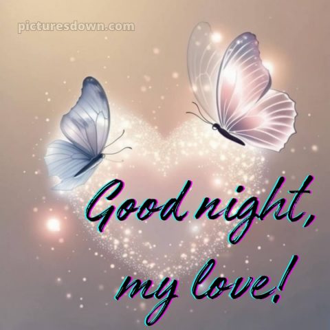 Good night my love picture 9 free download