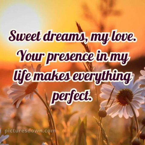 Good night my love images picture 4 free download