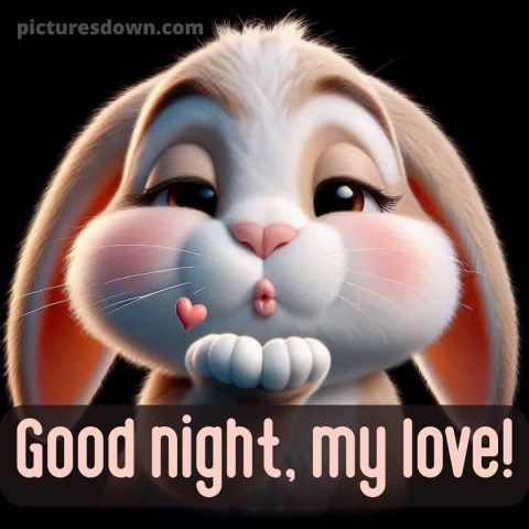 Good night photo love picture 1 free download