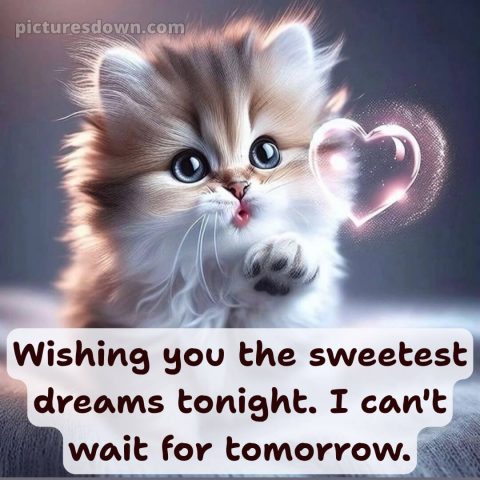 Good night photo love picture 13 free download