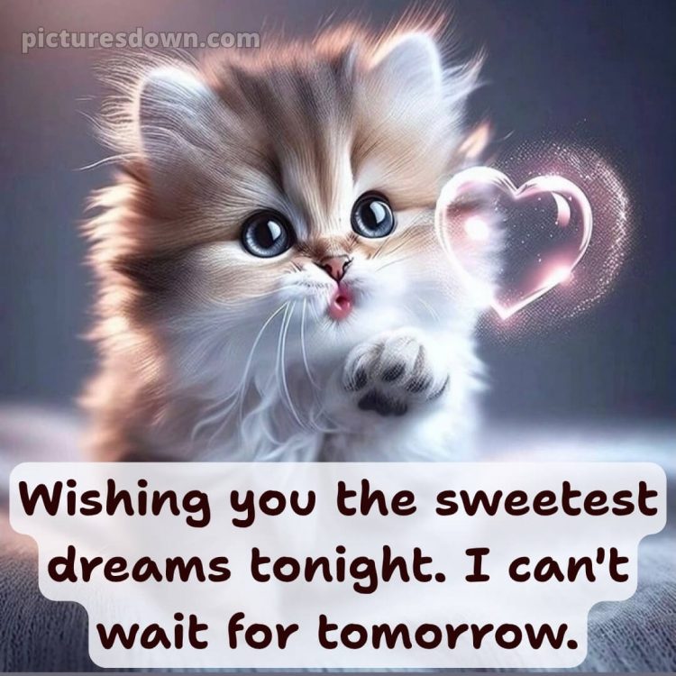 Good night photo love picture 13 free download