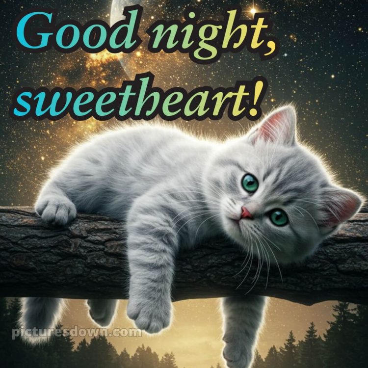 Good night pic love picture 15 free download