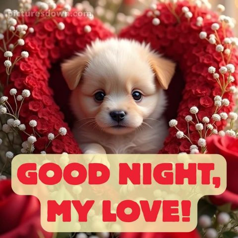 Good night pic love picture 7 free download