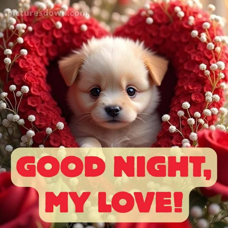 Good night pic love picture 7 free download
