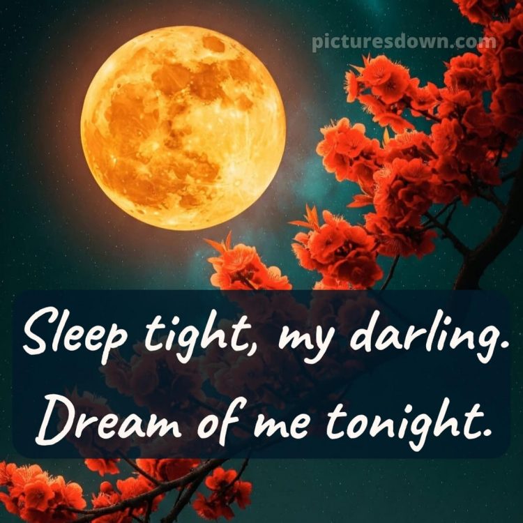 Good night quotes for love picture 1 free download