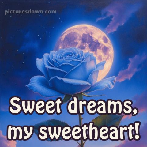 Good night quotes for love picture 10 free download