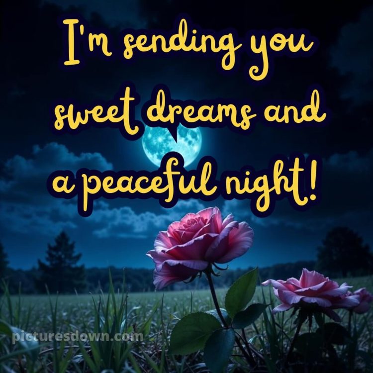 Good night quotes for love picture 12 free download