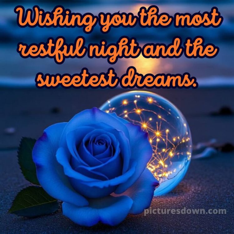 Good night quotes for love picture 13 free download