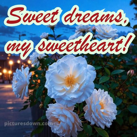 Good night quotes for love picture 14 free download