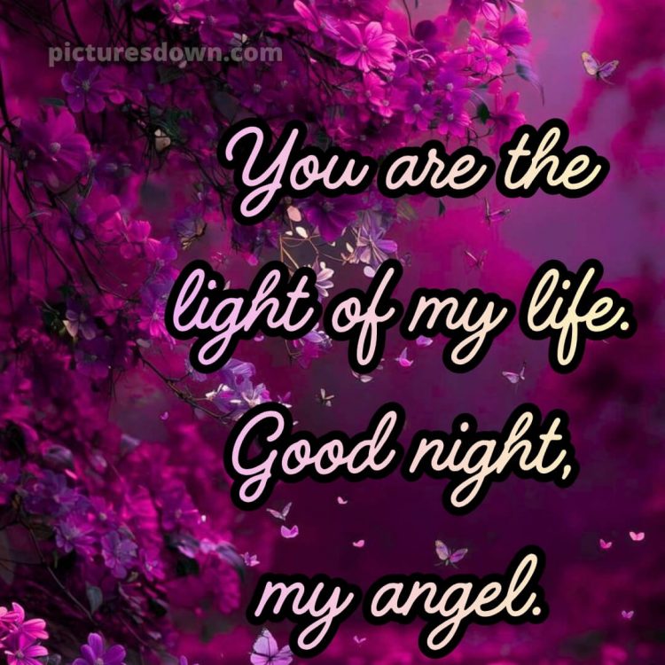 Good night quotes for love picture 3 free download