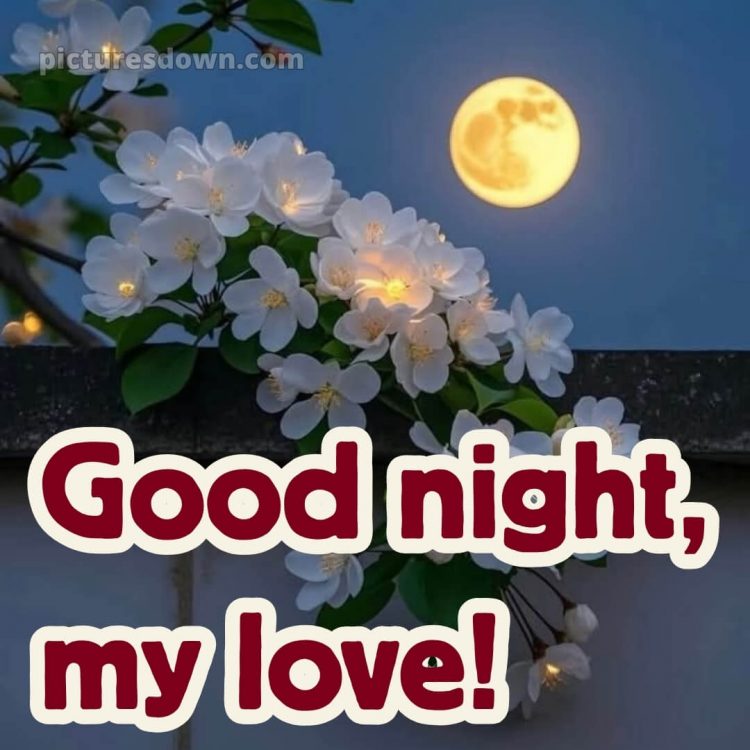 Good night quotes for love picture 9 free download