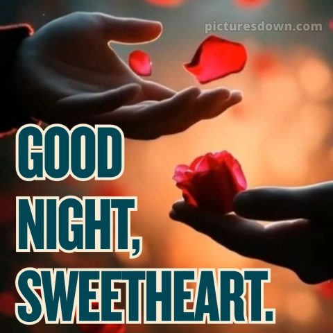 Good night quotes love picture 12 free download