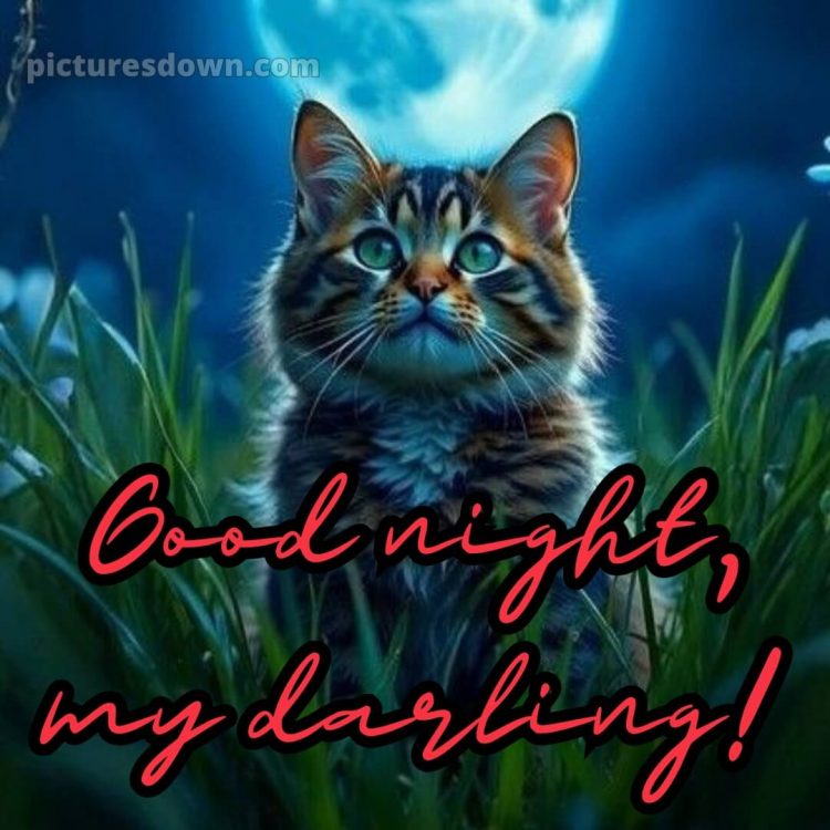 Good night quotes love picture 7 free download