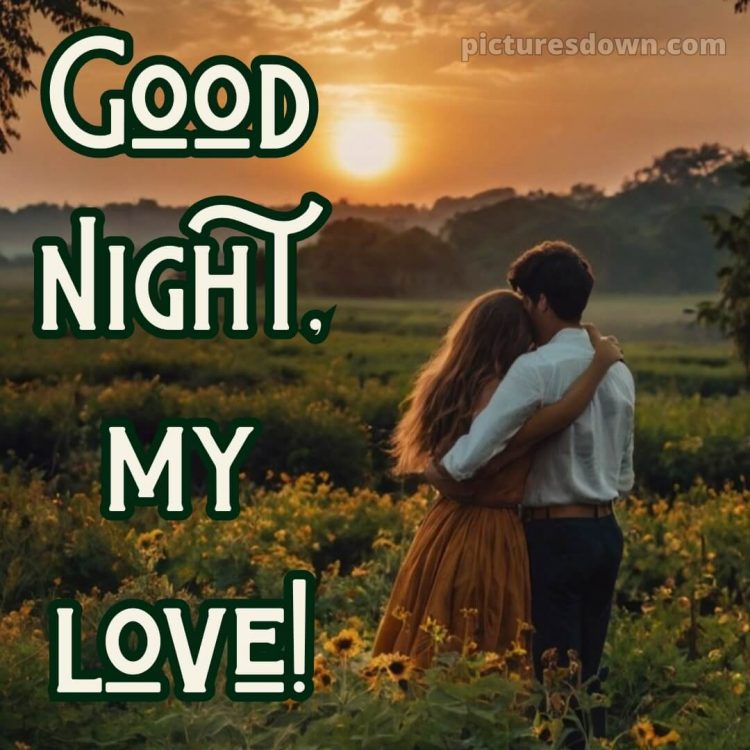 I love you good night picture 1 free download
