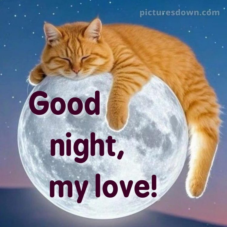 I love you good night picture 11 free download
