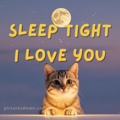 I love you good night picture 6 free download