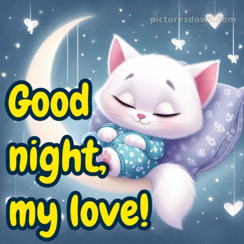 I love you good night picture 9 free download