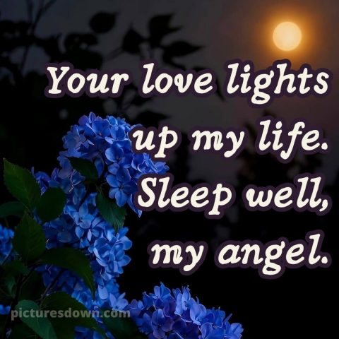 Love good night images picture 15 free download