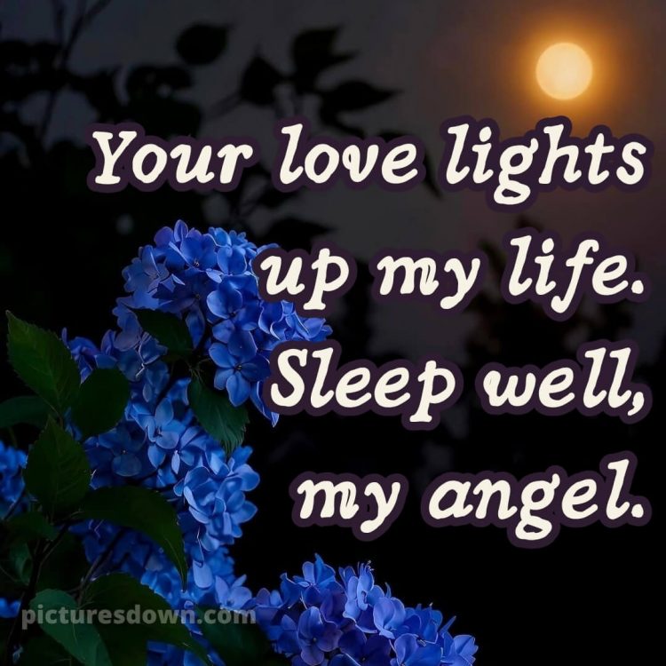 Love good night images picture 15 free download