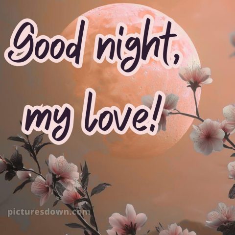Love good night images picture 6 free download