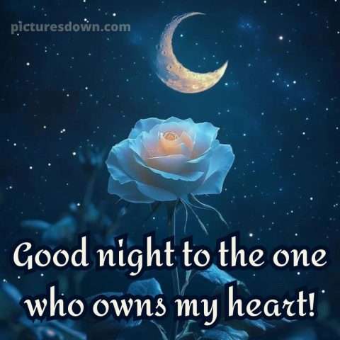 Love good night images picture 7 free download