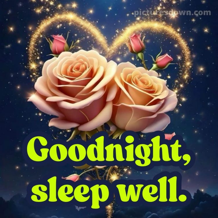 True love love good night rose picture 10 free download