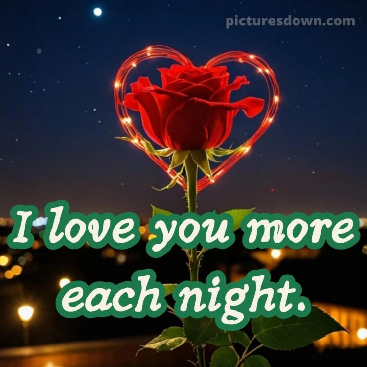 True love love good night rose picture 11 free download