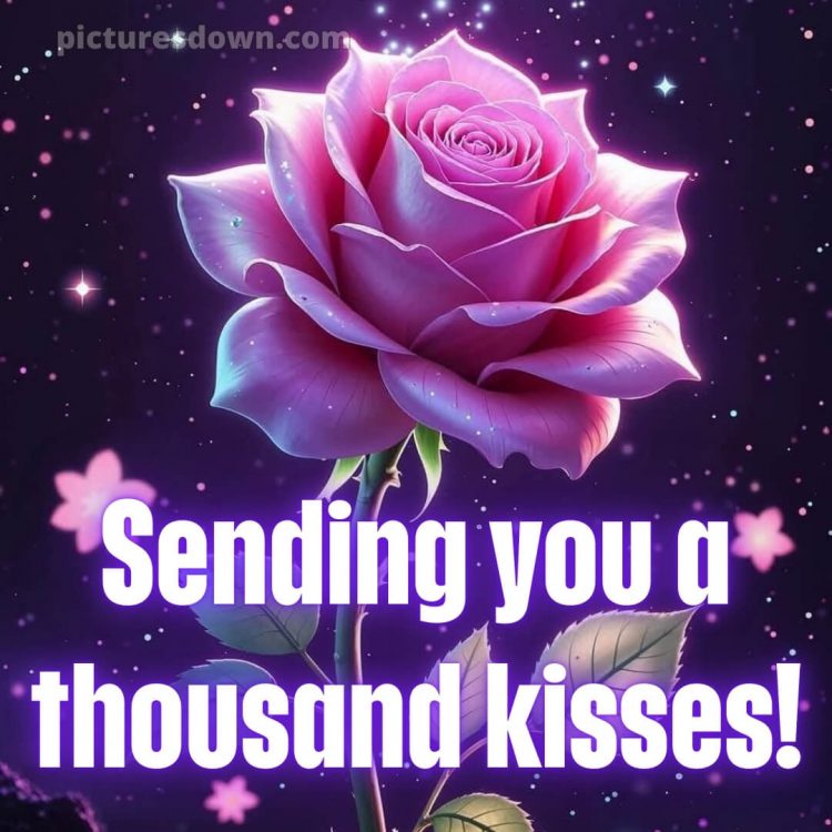 True love love good night rose picture 12 free download