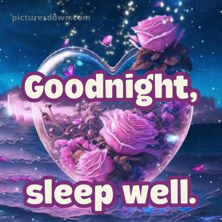 True love love good night rose picture 13 free download