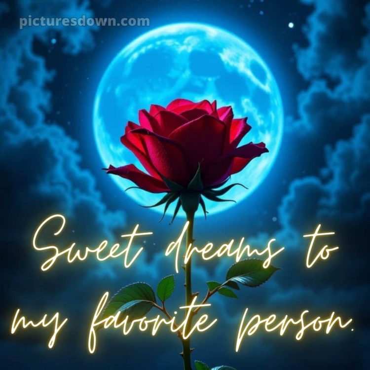 True love love good night rose picture 14 free download