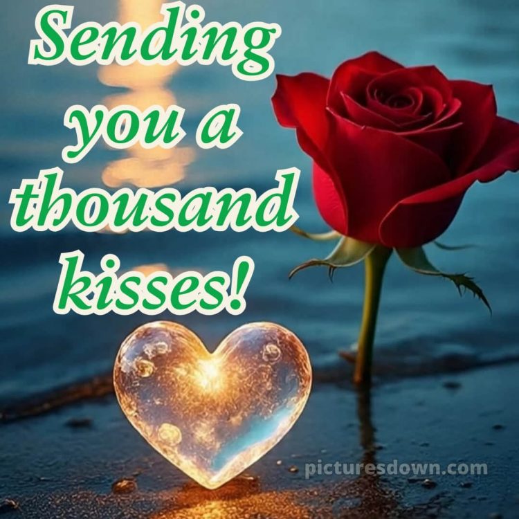 True love love good night rose picture 15 free download