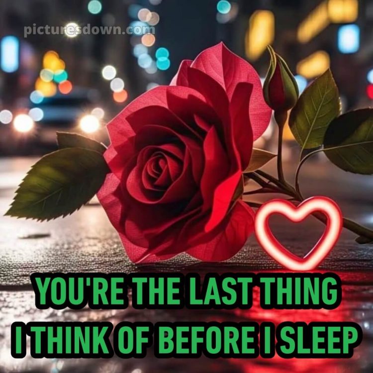 True love love good night rose picture 3 free download