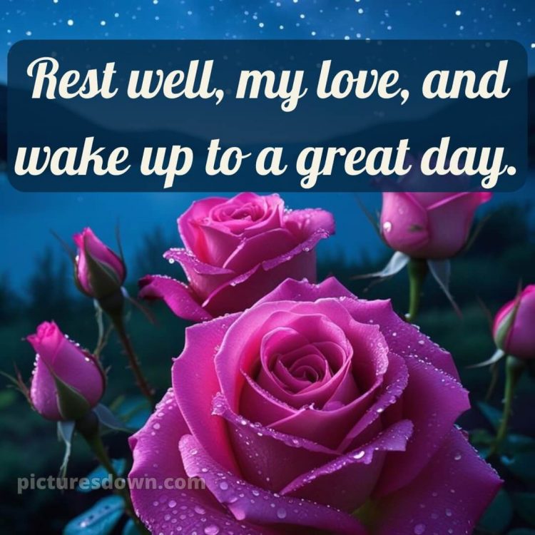 True love love good night rose picture 4 free download