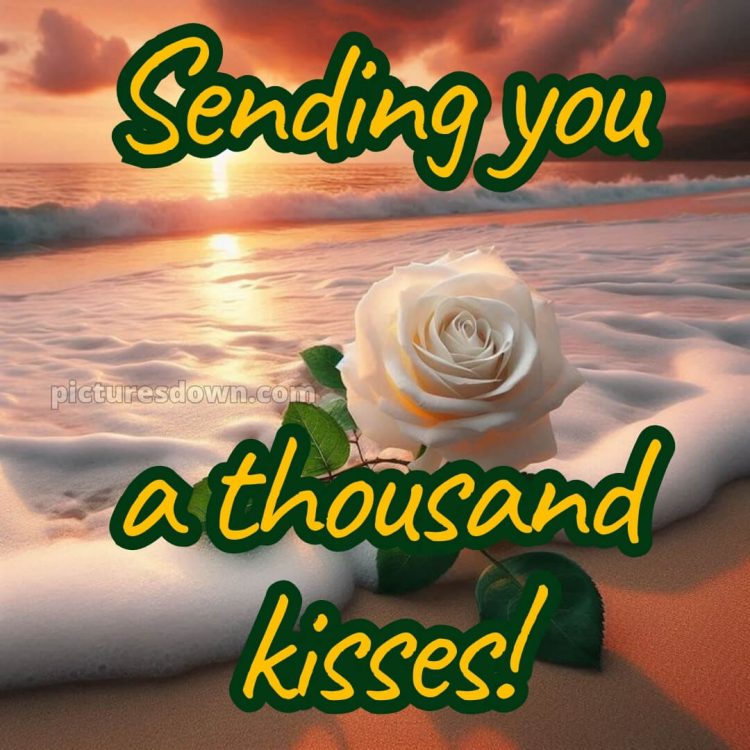 True love love good night rose picture 6 free download