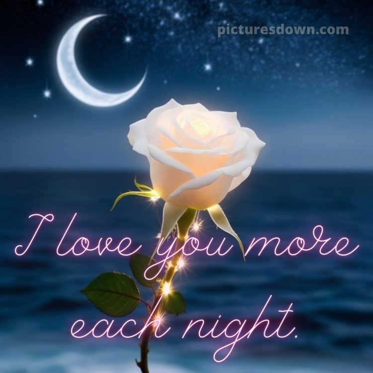 True love love good night rose picture 7 free download