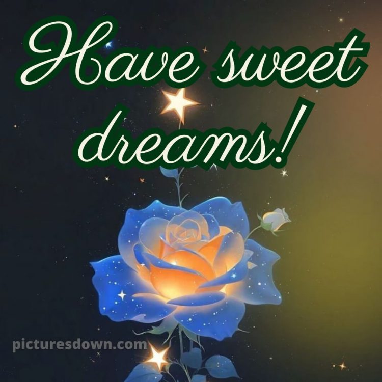 True love love good night rose picture 8 free download