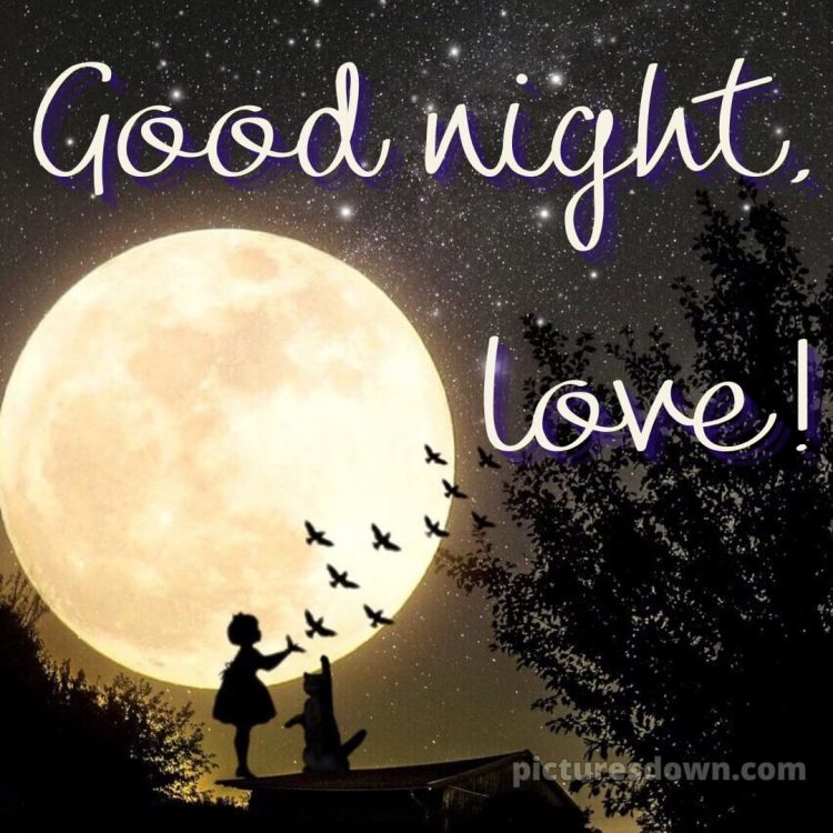 Good night images love picture 15 free download