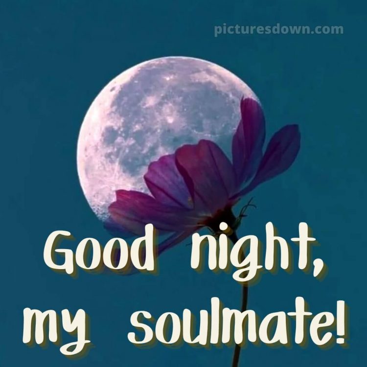 Good night images love picture 4 free download