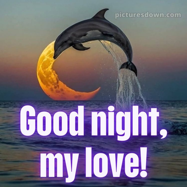 Good night love image picture 4 free download