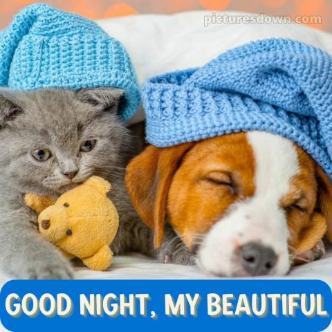 Good night love images for girlfriend picture 14 free download