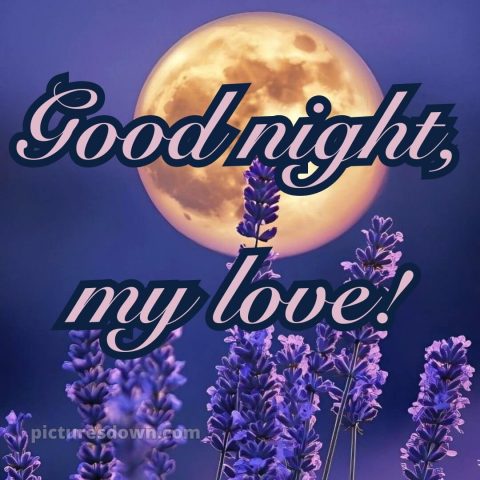 Good night love messages picture 13 free download