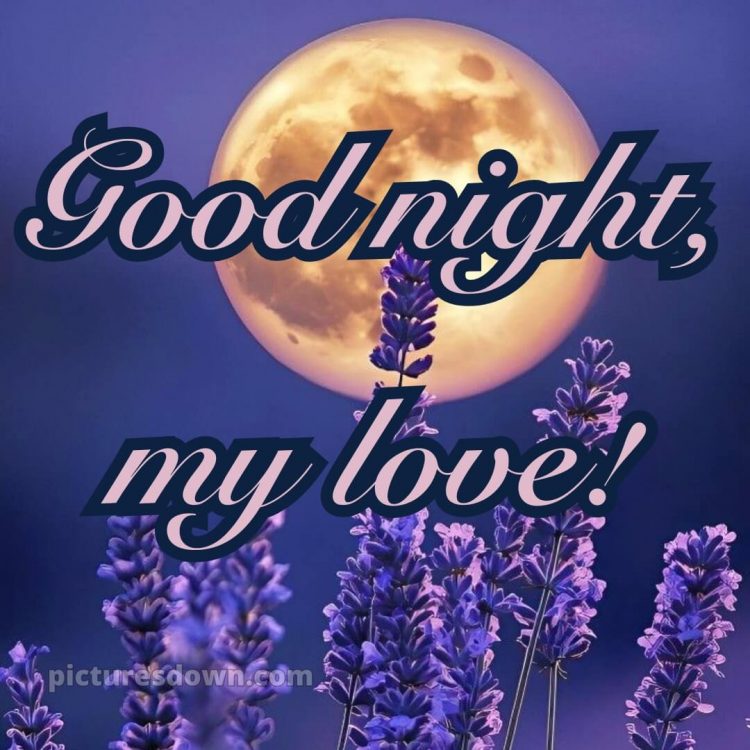 Good night love messages picture 13 free download