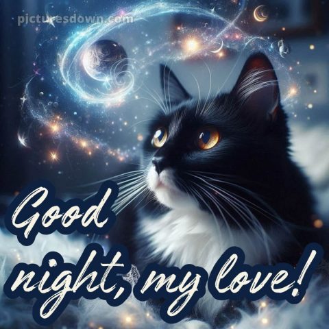 Good night love messages picture 15 free download