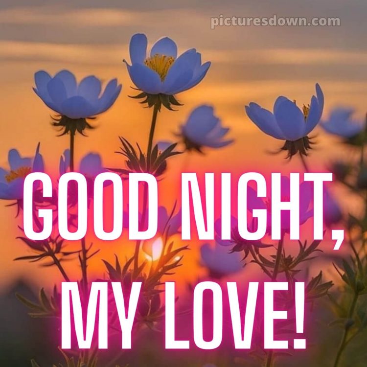 Good night love messages picture 9 free download
