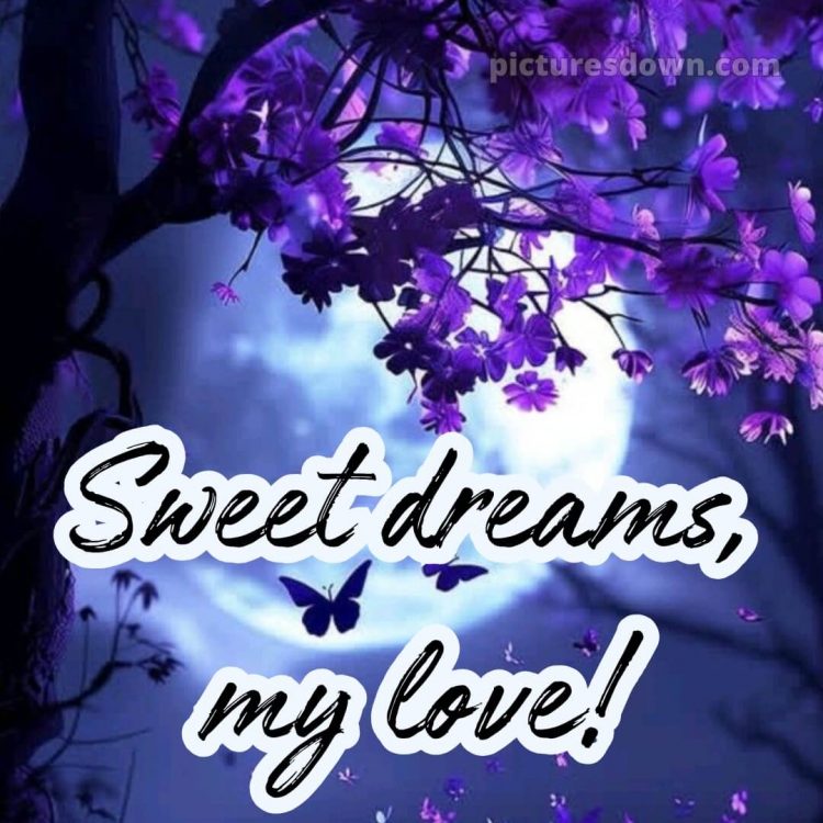 Good night love photo picture 14 free download