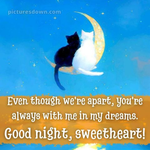 Good night love photo picture 3 free download