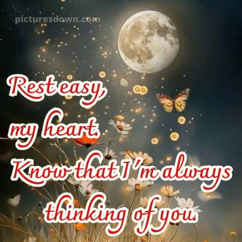 Good night love photo picture 8 free download