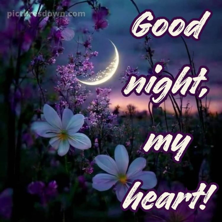 Good night love wishes picture 12 free download