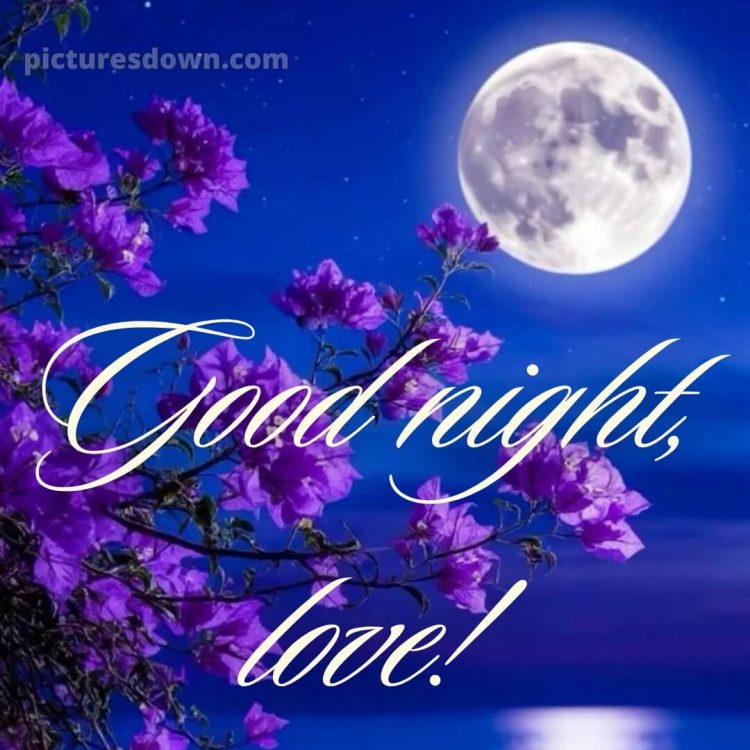 Good night love wishes picture 4 free download